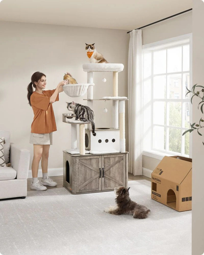 Kradsetræ 170 cm med kattehus og skåle – produktvisning 4 | Noreva Home