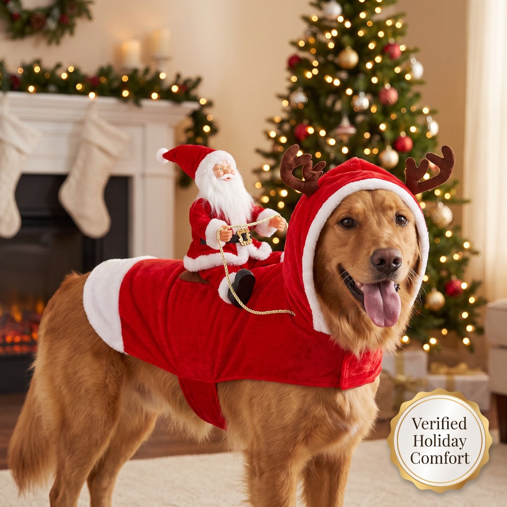 Julekostume til hund med julemand på rensdyr, billede 11