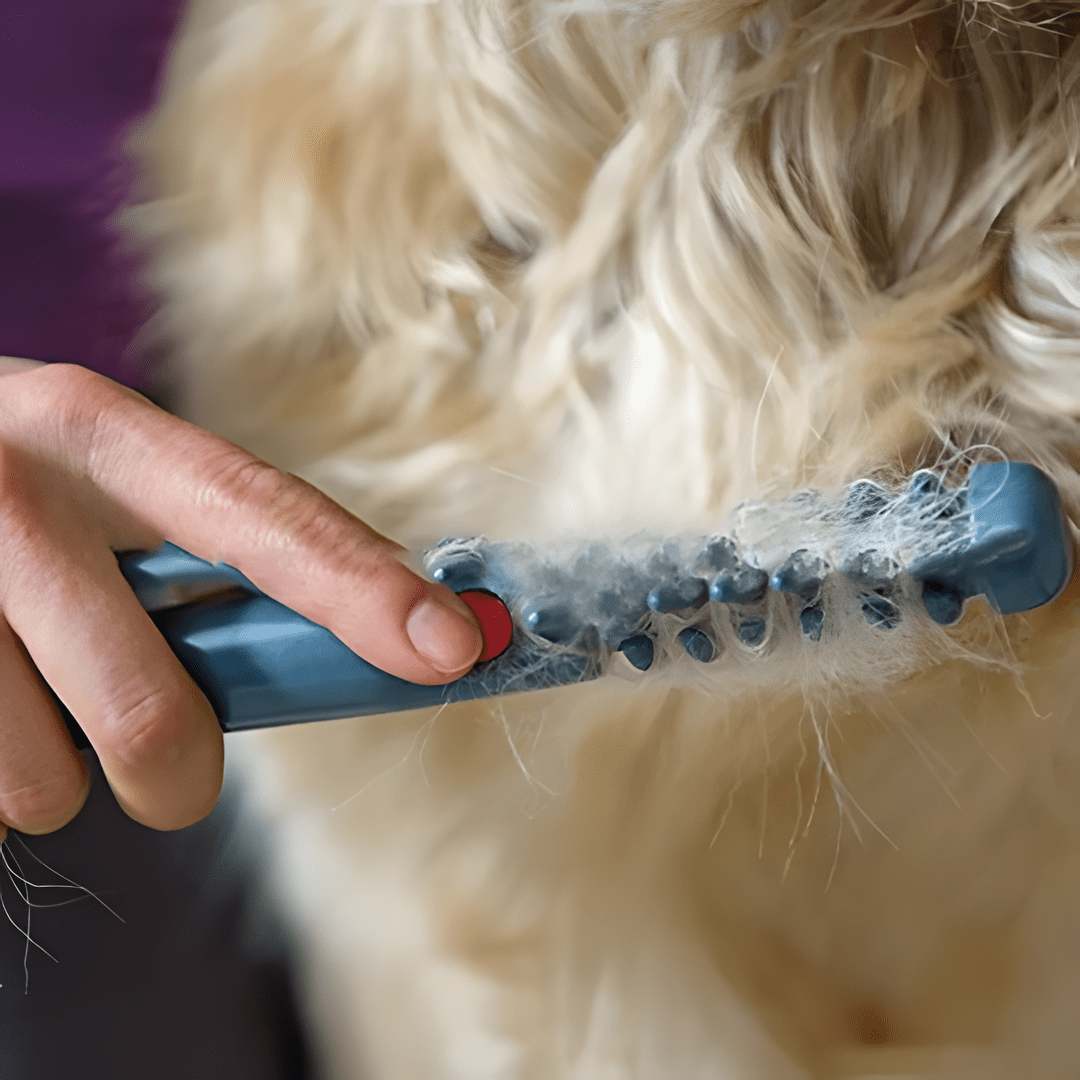 PELSGLID pelstrimmer til hund og kat – billede 3
