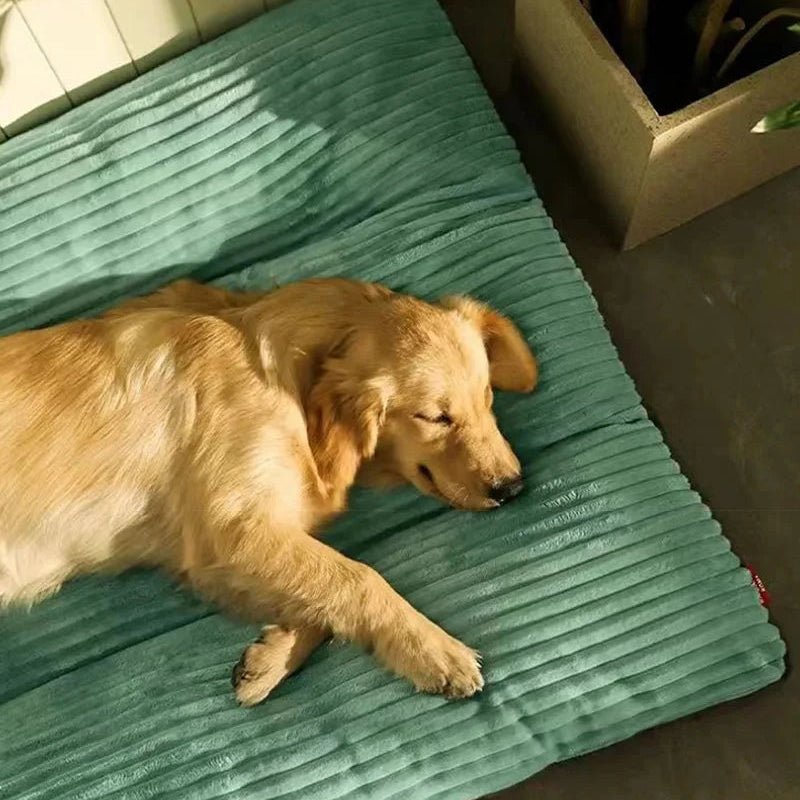 POTELUND ortopædisk hundeseng med støttende kerne – billede 4