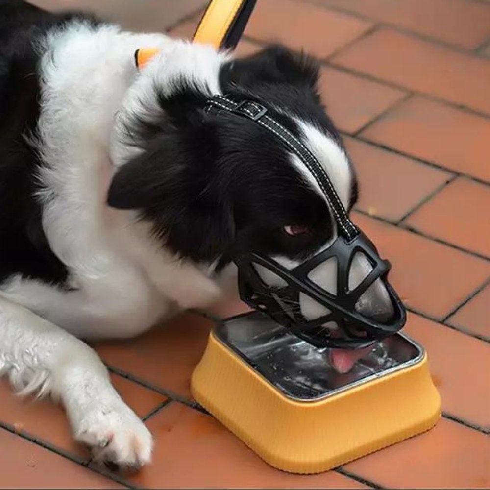 Blød hundemundkurv i fire størrelser og tre farver – billede 11