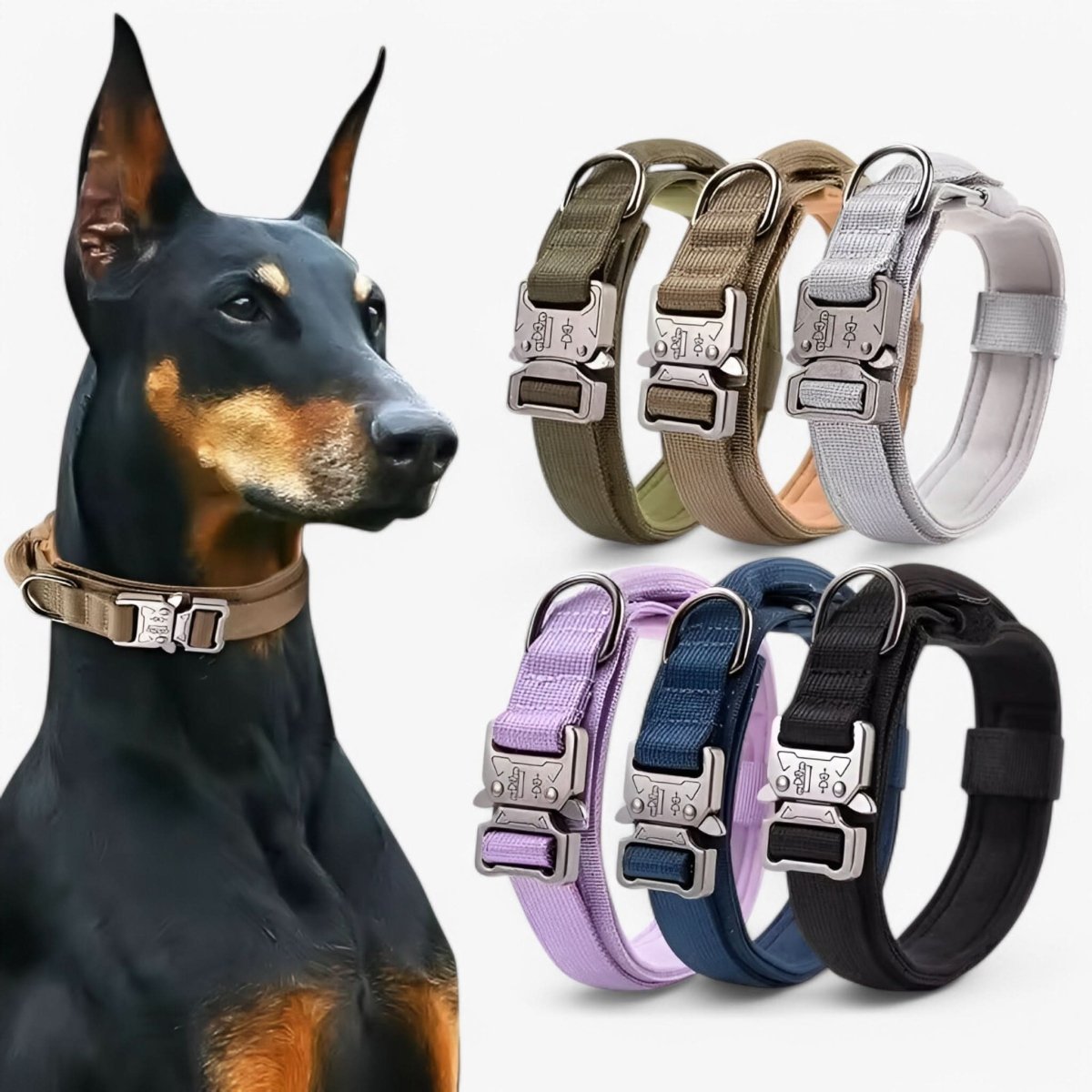 HALSGREB robust hundehalsbånd i nylon – billede 3