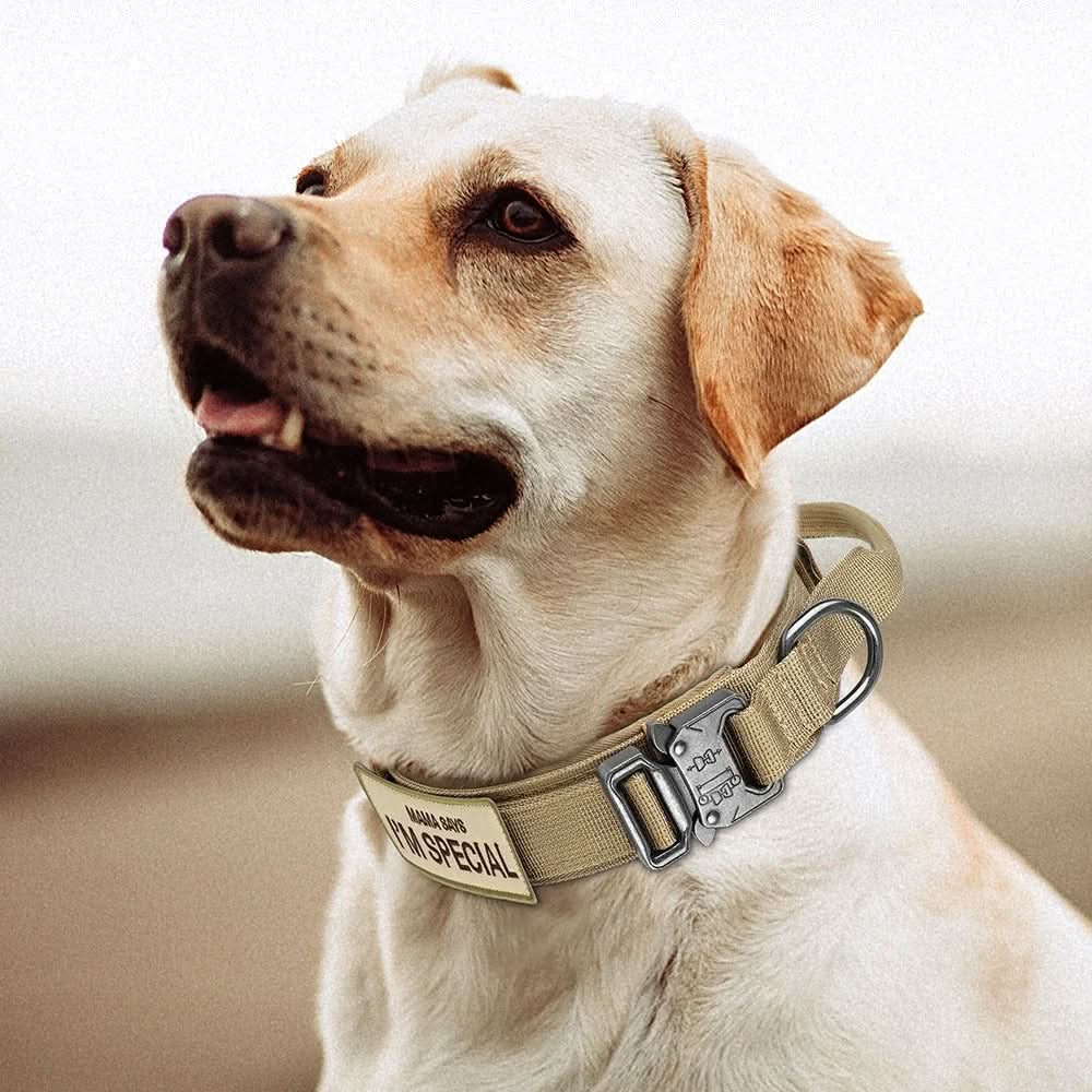 HALSGREB robust hundehalsbånd i nylon – billede 11