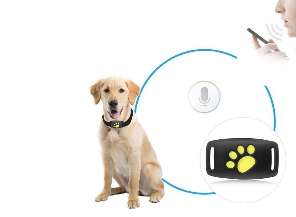 Gps-tracker til katte med sporing i realtid – billede 3
